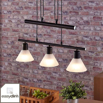 Eleasa LED pendant lamp, easydim 3 bulbs, black