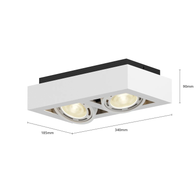 Ronka LED lubinis prožektorius, GU10, 2 lempučių, baltas