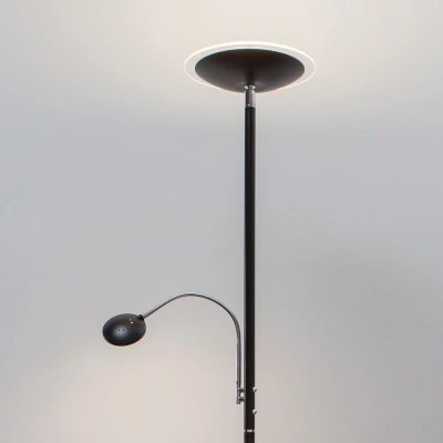 Floor lamp Malea with LED + reading handle, black