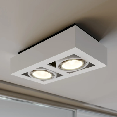Ronka LED ceiling spotlight, GU10, 2 bulbs, white