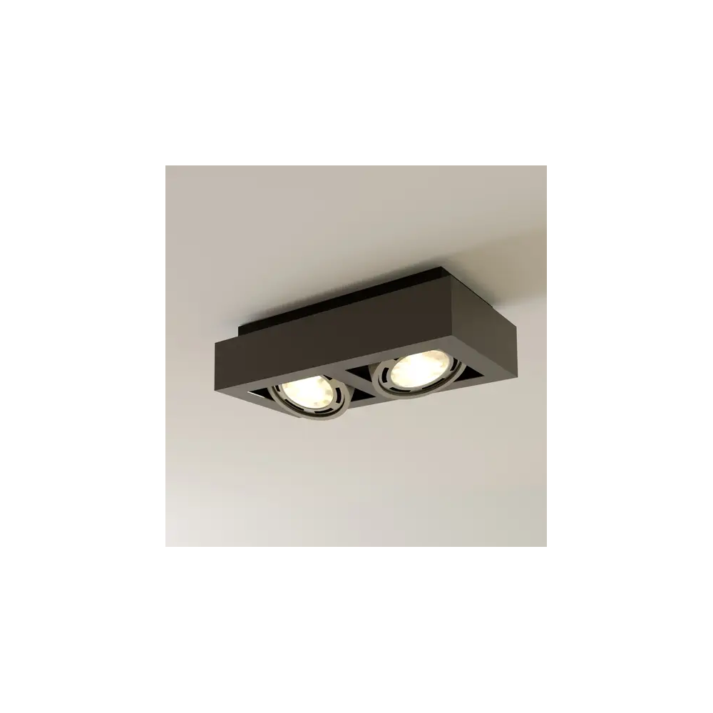 Ronka LED lubinis prožektorius, GU10, 2 lempučių, tamsiai pilkas